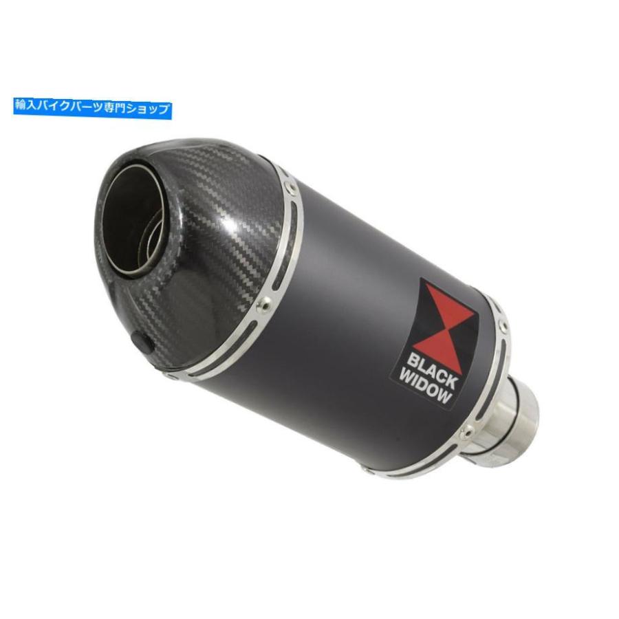 サイレンサー NINJA 125 Z 125排気サイレンサー200mmオーバルブラックステンレスカーボンチップBC20V Ninja 125 Z 125 Exhaust Silencer 200mm Oval Bの画像