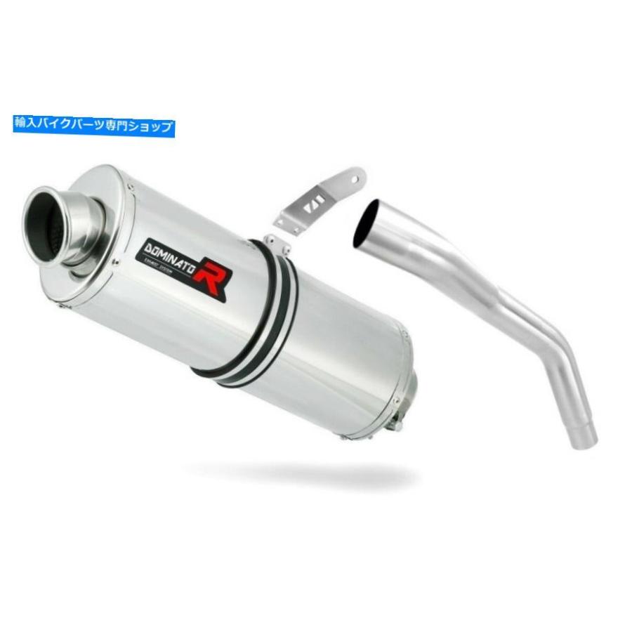 サイレンサー Tiger 800排気オーバルドミネーターレーシングサイレンサーマフラー2011 2012 2013 2014 TIGER 800 Exhaust OVAL Dominator Racing sileの画像