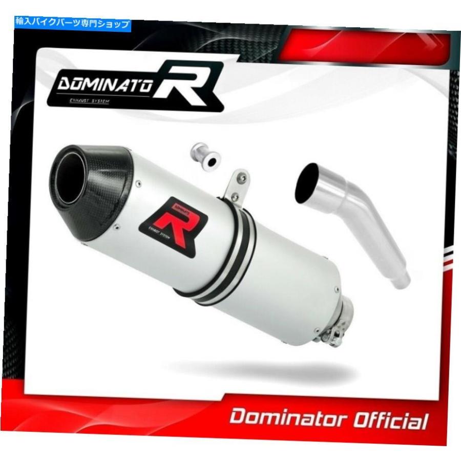 サイレンサー XT 125 R排気MXカーボンドミネーターレーシングサイレンサーマフラー XT 125 R Exhaust MX Carbon Dominator Racing silencer muffler