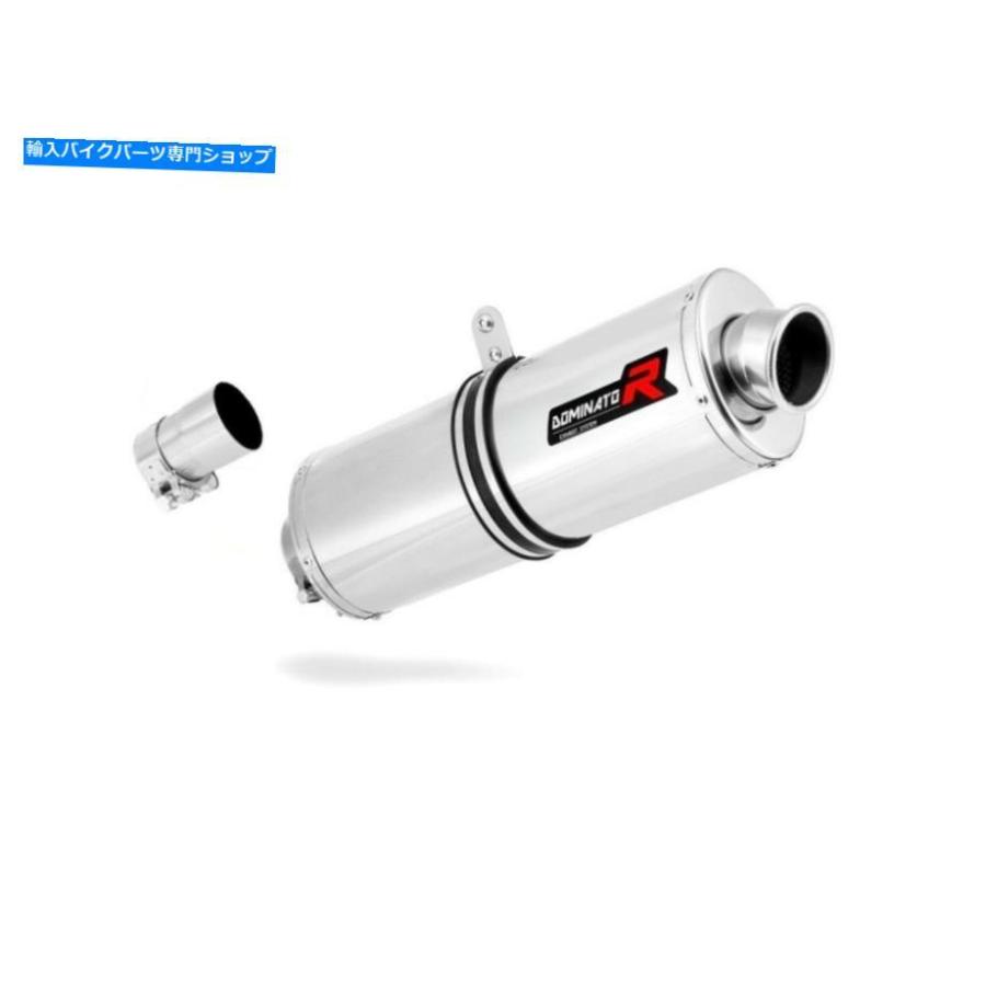 サイレンサー 排気サイレンサーマフラー支配楕円形BMW R1150GS + DBキラー Exhaust silencer muffler DOMINATOR OVAL BMW R1150GS + DB KILLERの画像