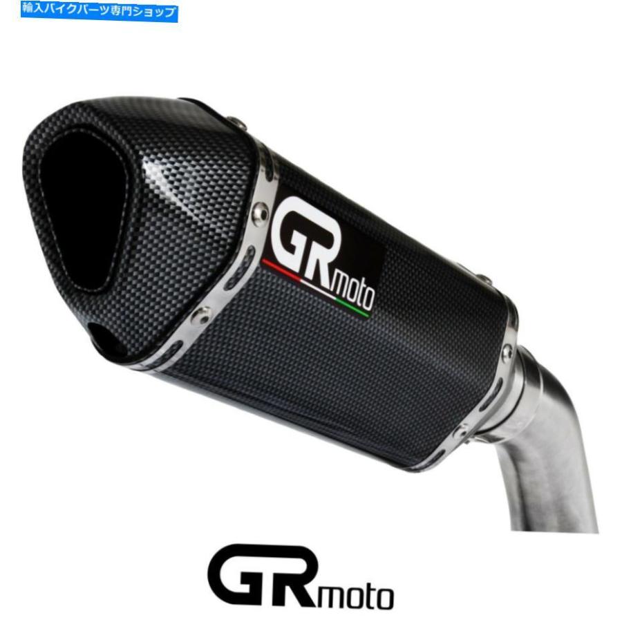 サイレンサー 川崎デキャットZX10R ZX-10R ZX10R ZX-10R E9F FAF 08