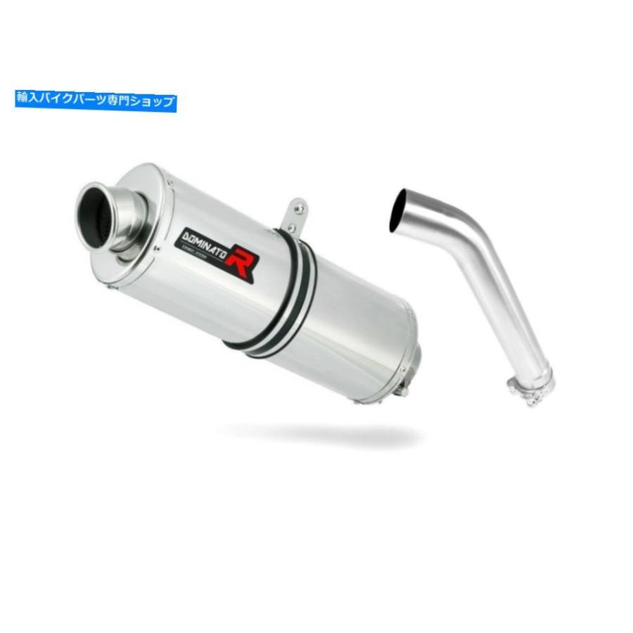 サイレンサー デーストデイビングカラードミネーターOval F750GS F 750 GS 18-19 + DBキラー - オリジナルのタイトルを表示 エキゾーストサイレンサー