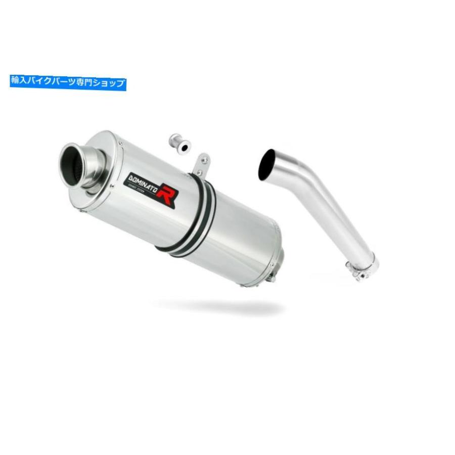 サイレンサー 排気サイレンサーマフラードミネーターオーバルYZF 600 R Thundercat 96-06 + DBキラー Exhaust silencer muffler DOMINATOR OVAL YZF 6の画像
