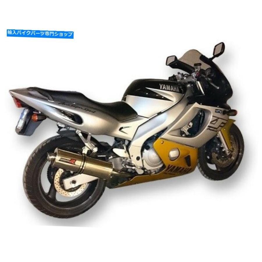 サイレンサー 排気サイレンサーマフラードミネーターオーバルYZF 600 R Thundercat 96-06 + DBキラー Exhaust silencer muffler DOMINATOR OVAL YZF 6の画像