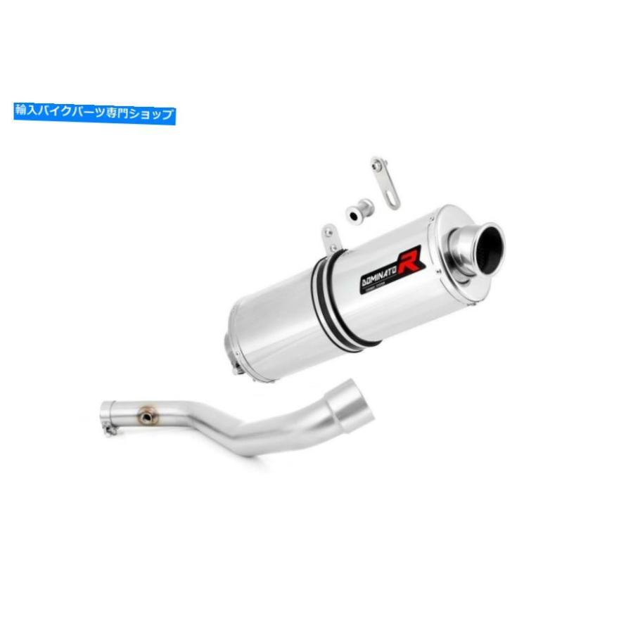 サイレンサー 排気サイレンサーマフラー支配楕円形BMW R1100R + DBキラー Exhaust silencer muffler DOMINATOR OVAL BMW R1100R + DB KILLERの画像