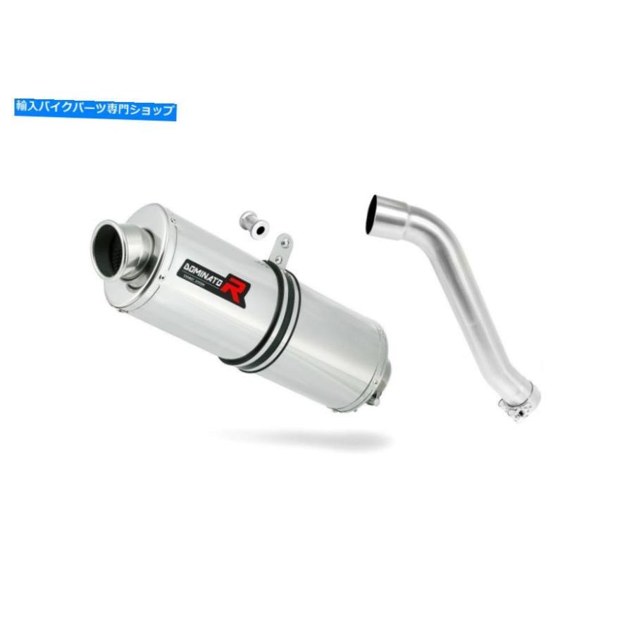 サイレンサー 排気サイレンサーマフラードミネーターオーバルXL 650 V TransalP 01-07 + DBキラー Exhaust silencer muffler DOMINATOR OVAL XL 650 Vの画像