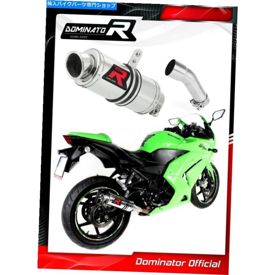 サイレンサー Ninja ZX 250 R排気GP I Dominator Racing