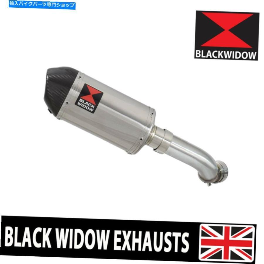 サイレンサー Ninja 1000 SX排気サイレンサー200mm楕円形ステンレスカーボンTIP200ST200 Ninja 1000 SX Exhaust Silencer 200mm Oval Stainless Carbo