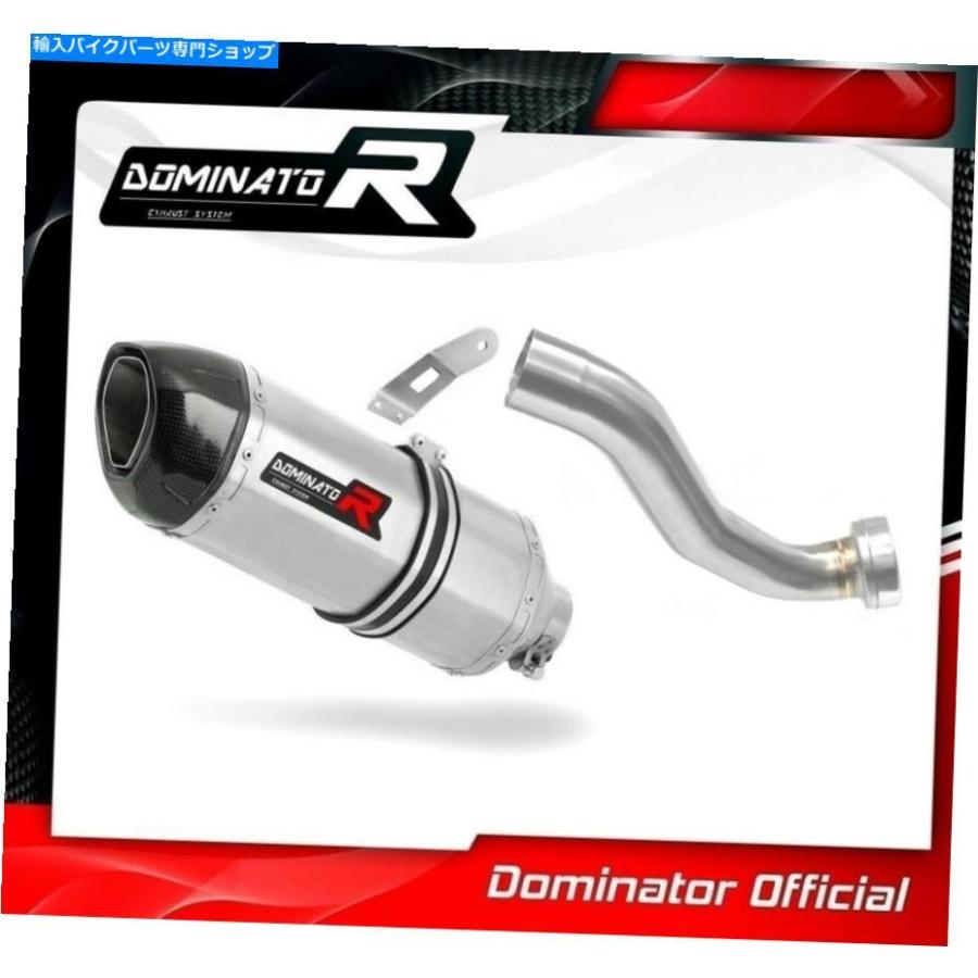 サイレンサー CB 650 R CB650RエキゾーストHP1ドミネーターレーシングサイレンサーマフラー2019 - 2020 CB 650 R CB650R Exhaust HP1 Dominator Racinの画像
