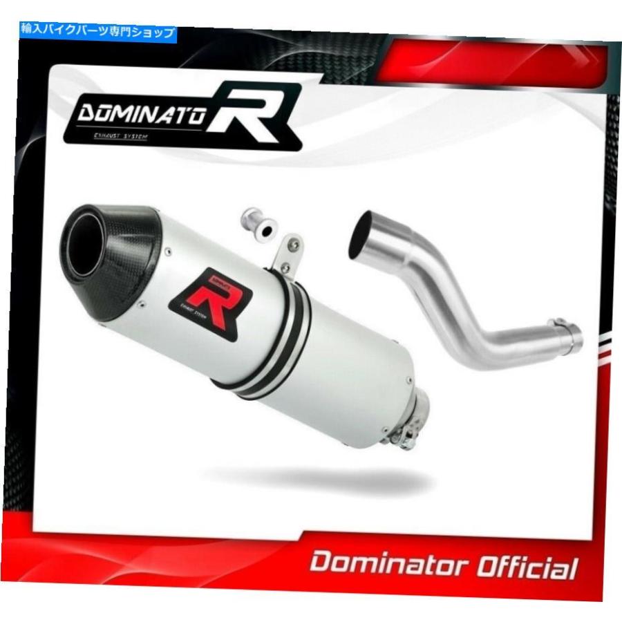 サイレンサー DR 350排気量MX Dominator Racing Silencer Muffler 1990 - 1999 DR 350 Exhaust MX Dominator Racing silencer muffler 1990 - 1999の画像