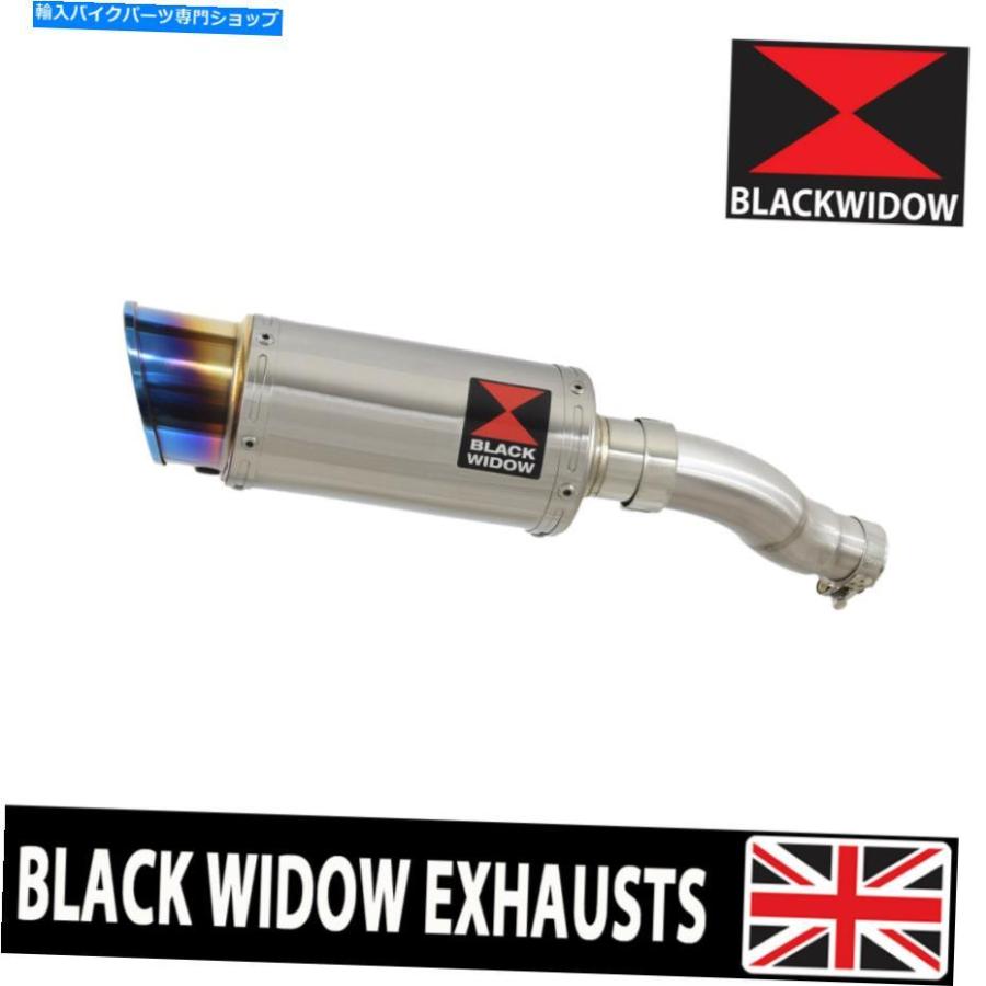 サイレンサー CMX500反逆性能排気サイレンサーラウンドブルーチップステンレスSL20R CMX500 REBEL Performance Exhaust Silencer Round Blue Tip Stai