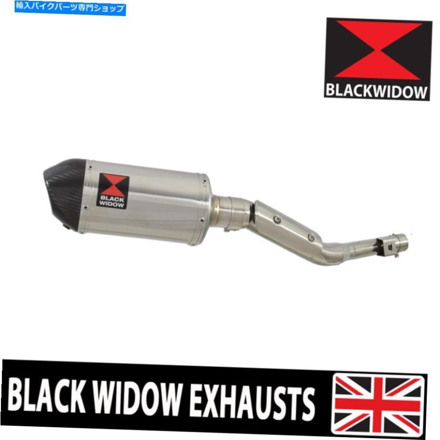 サイレンサー RV 125 RV 200バンバー排気サイレンサーキット200mmオーバルステンレス+カルボップ200st RV 125 RV 200 VAN VAN Exhaust Silencer Kit 2
