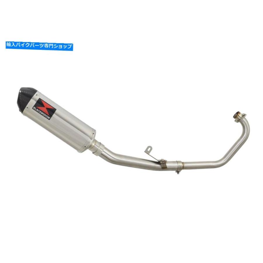 サイレンサー CBR 125 CBR125R 2011-2018排気システム300mmステンレス+カーボンサイレンサー300st CBR 125 CBR125R 2011-2018 EXHAUST SYSTEM 300mm Sの画像