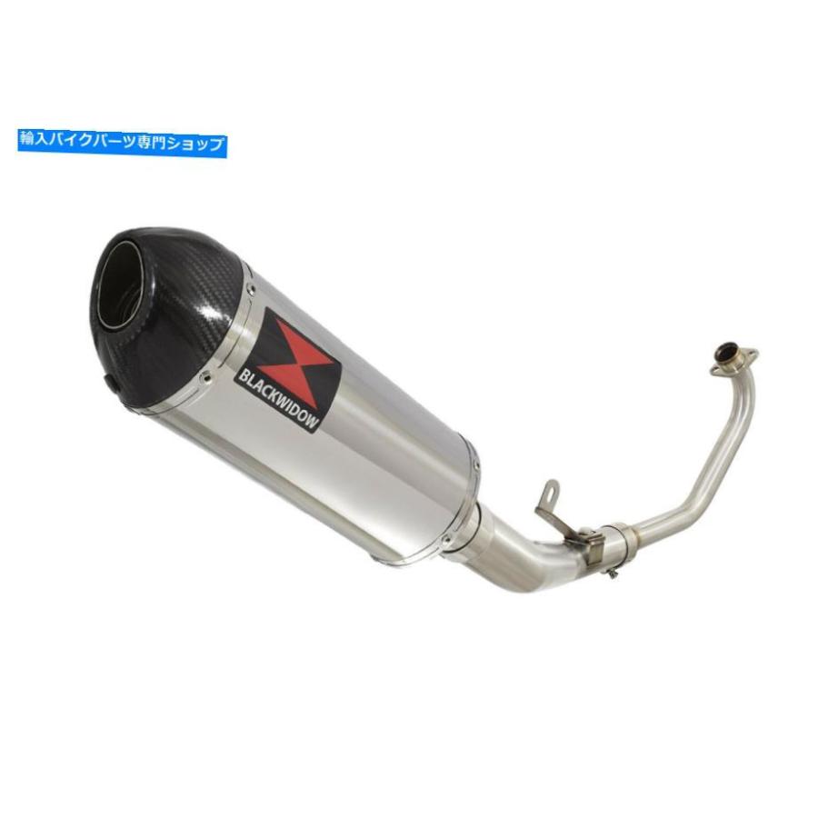 サイレンサー CBR 125 CBR125R 2011-2018排気システム300mmステンレス+カーボンサイレンサー300st CBR 125 CBR125R 2011-2018 EXHAUST SYSTEM 300mm Sの画像