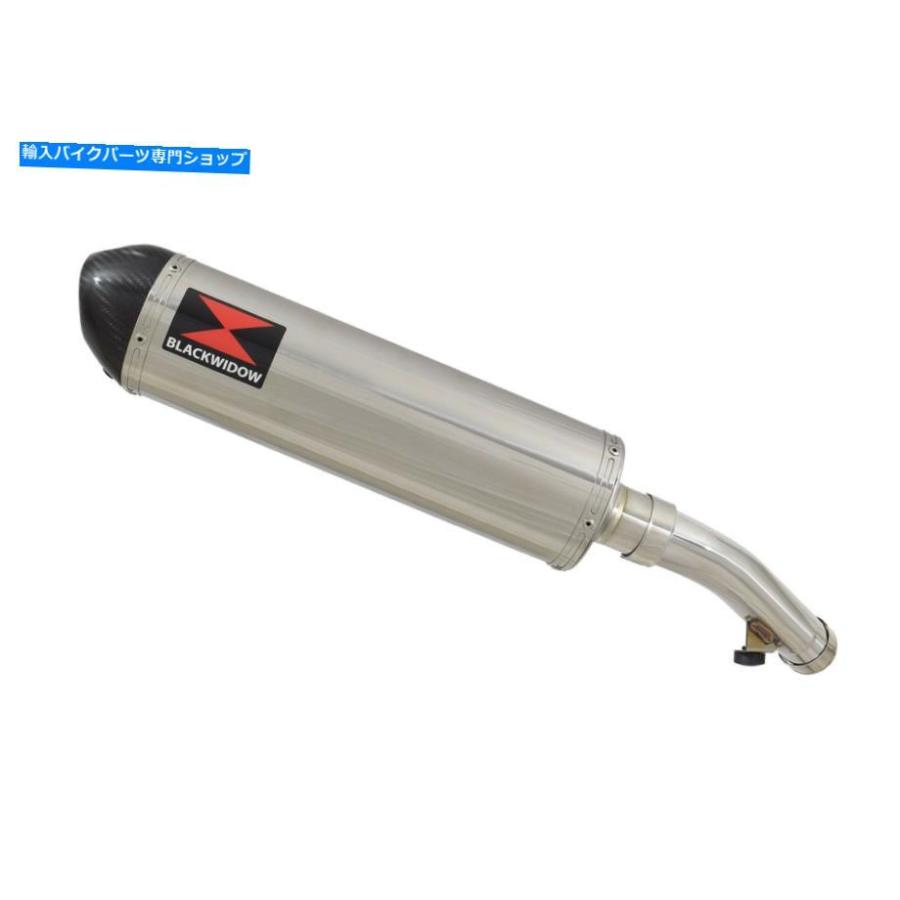 サイレンサー VFR800 97-03 RC46排気サイレンサー楕円形ステンレス+カーボンエンドCAN 400 VFR800 97-03 RC46 Exhaust SIlencer Oval Stainless + Car_1
