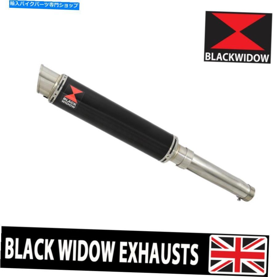 GSX-R600 ⁄ GSX-R750 ( 08-10 ⁄ K8-L0 ) AKRAPOVIC アクラポビッチ