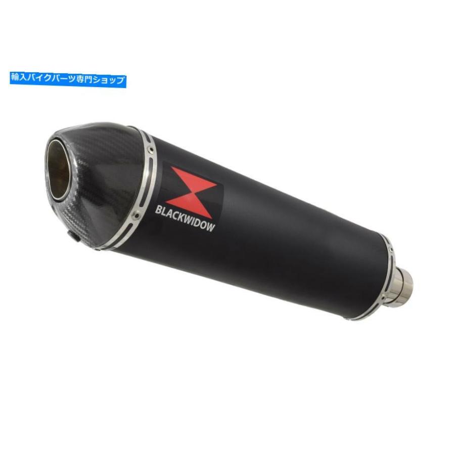サイレンサー R6 2006-2016 YZF600高排気サイレンサーエンド缶オーバルBC40V R6 2006-2016 YZF600 High Exhaust Silencer End Can Oval BC40Vの画像