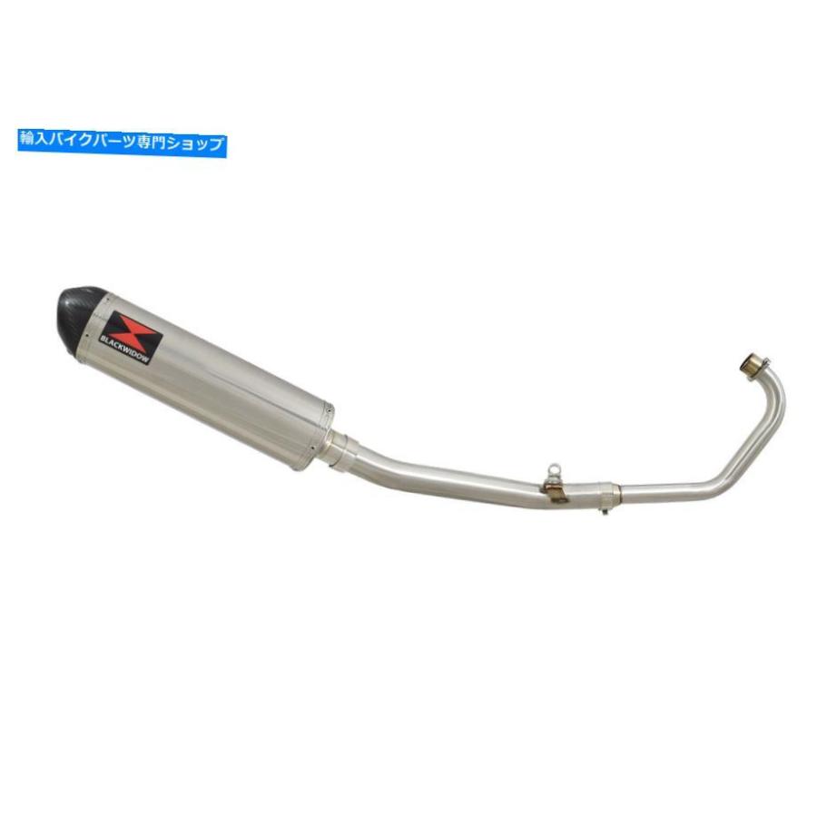サイレンサー CBR 125 CBR125R 2004-2010排気システムステンレス+カーボンチップサイレンサー400 CBR 125 CBR125R 2004-2010 Exhaust System Stainlesの画像