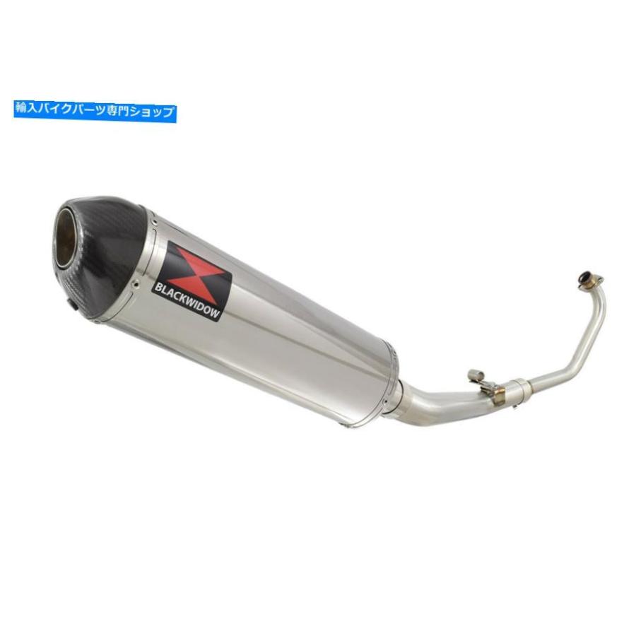 サイレンサー CBR 125 CBR125R 2004-2010排気システムステンレス+カーボンチップサイレンサー400 CBR 125 CBR125R 2004-2010 Exhaust System Stainlesの画像