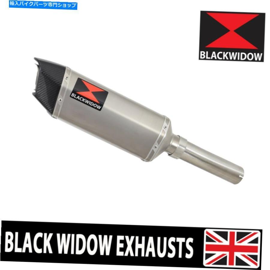 ヒツジのいらない枕 -至極‐ Exhaust Giannelli Aprilia RS4 50 33036HF + 33662HF サイレンサー