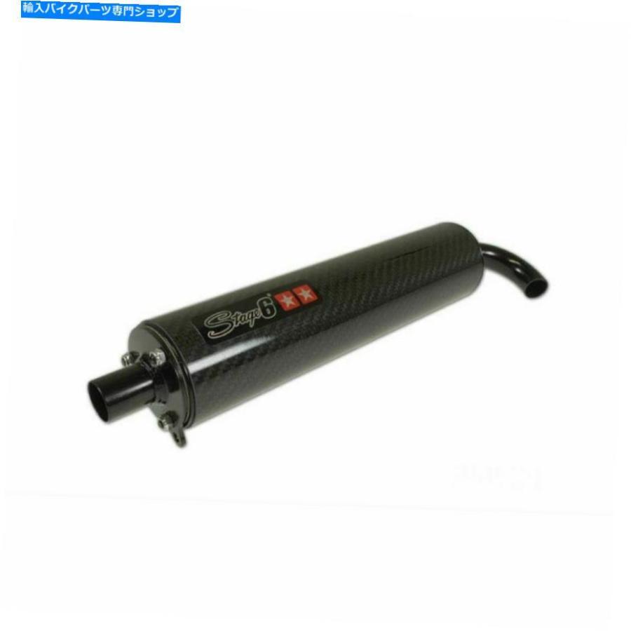 サイレンサー サイレンサーSTAGE6 PROレプリカカーボン Silencer STAGE6 Pro Replica Carbon