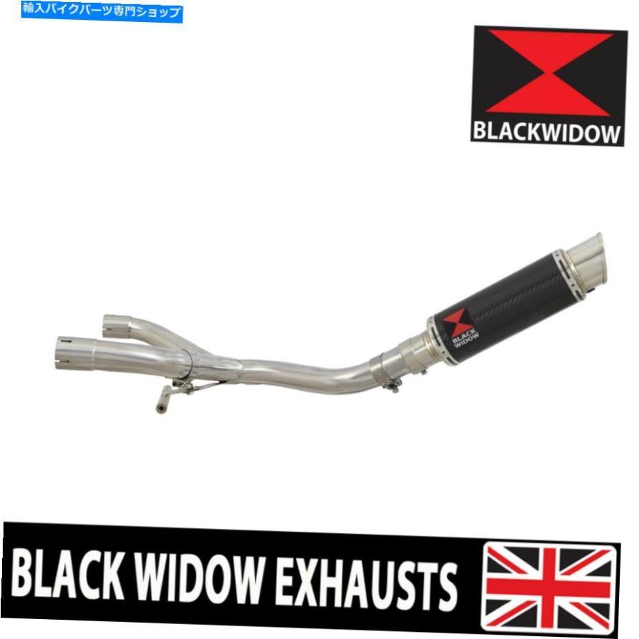 サイレンサー BMW R 850 R GSロードスターR850GSコレクター＆エキゾーストサイレンサー230CR BMW R 850 R GS ROADSTER R850GS COLLECTOR \u0026 EXHAUST SI