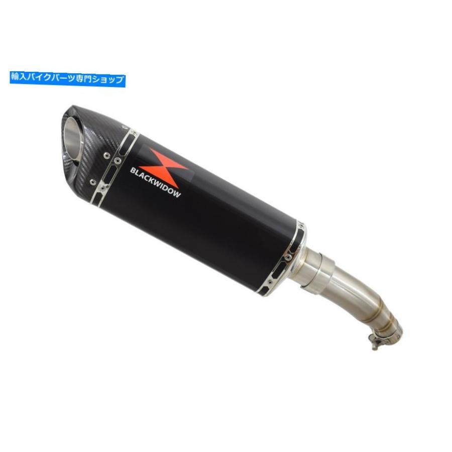 サイレンサー NINJA 125 Z 125排気サイトンセンサー300mmトライ