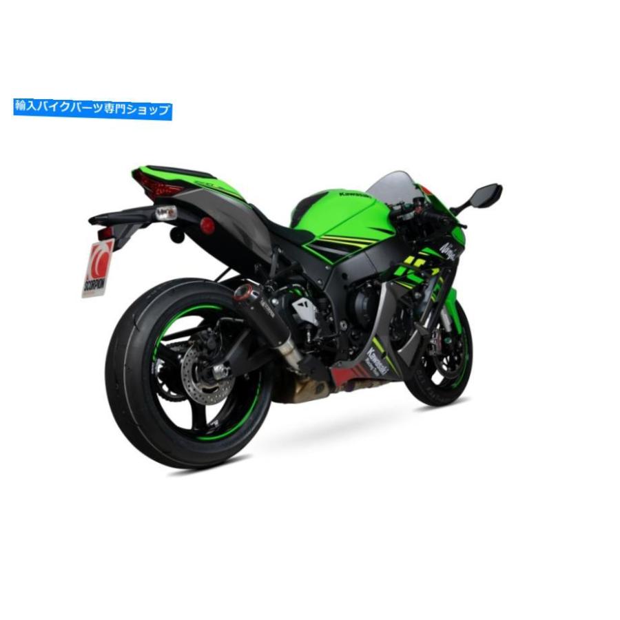 Kawasaki ZX10R ZX-10R 2021 2022 2023 フルカーボンファイバー