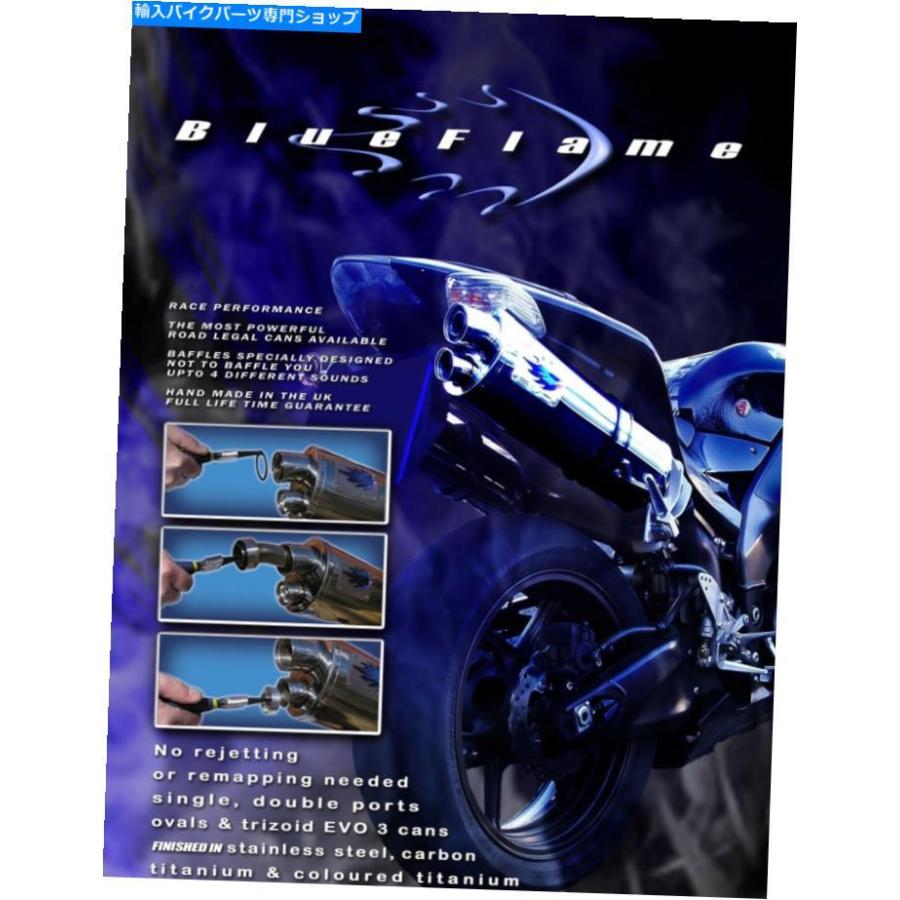 サイレンサー TRIUMPH T595 DAYTONA 1997-1999ブルーフレーム色の