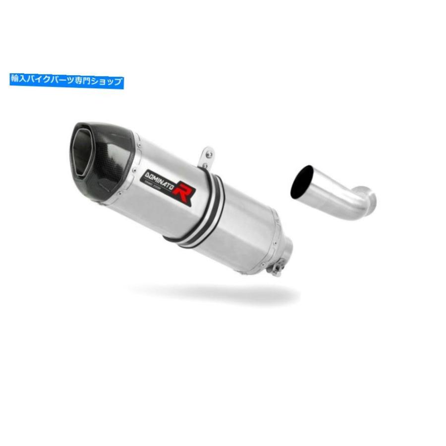 サイレンサー 排気ガスサイレンサーマフラードミネーターHP1 BMW K1200R + DB殺害者 Exhaust silencer muffler DOMINATOR HP1 BMW K1200R + DB KILLER バイク-マフラー-車、バイク、自転車