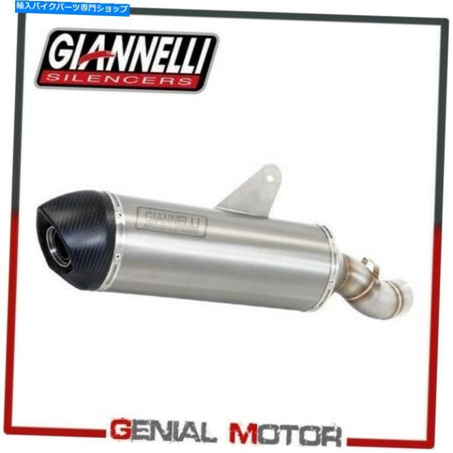 サイレンサー 排気マフラーGiannelliアルミニウムマキシオーバルBMW R 1200 R 2013 13 Exhaust Muffler Giannelli Aluminum Maxi Oval Bmw R 1200 R 2