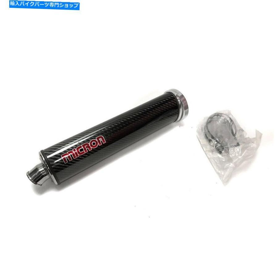 サイレンサー 川崎ZX9 1998 98 99 99カーボンミクロンの排気ボルト