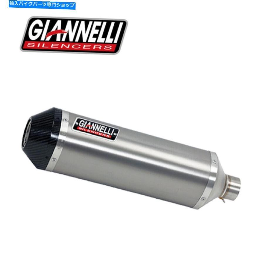 サイレンサー 排気マフラーGiannelliチタニウムipersport川崎ZX-10R