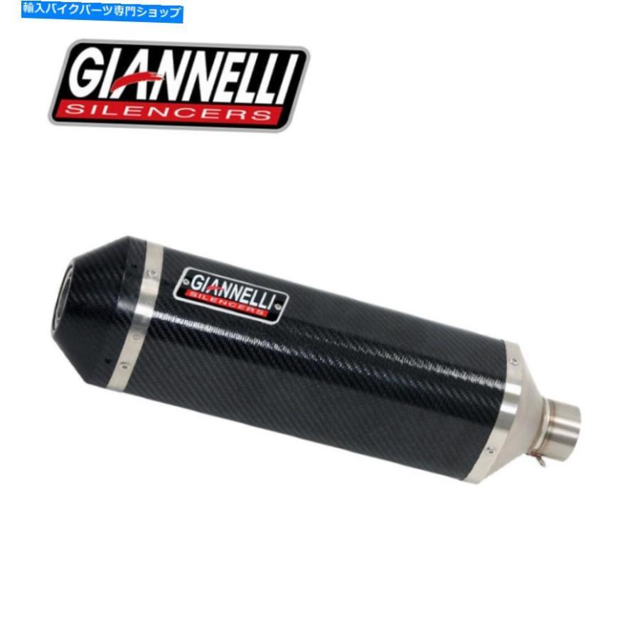 サイレンサー 排気マフラーギアネリカーボンスポーツホンダCB 600 F Hornet 2008 08 Exhaust Muffler Giannelli Carbon Ipersport Honda CB 600 F Hor_1