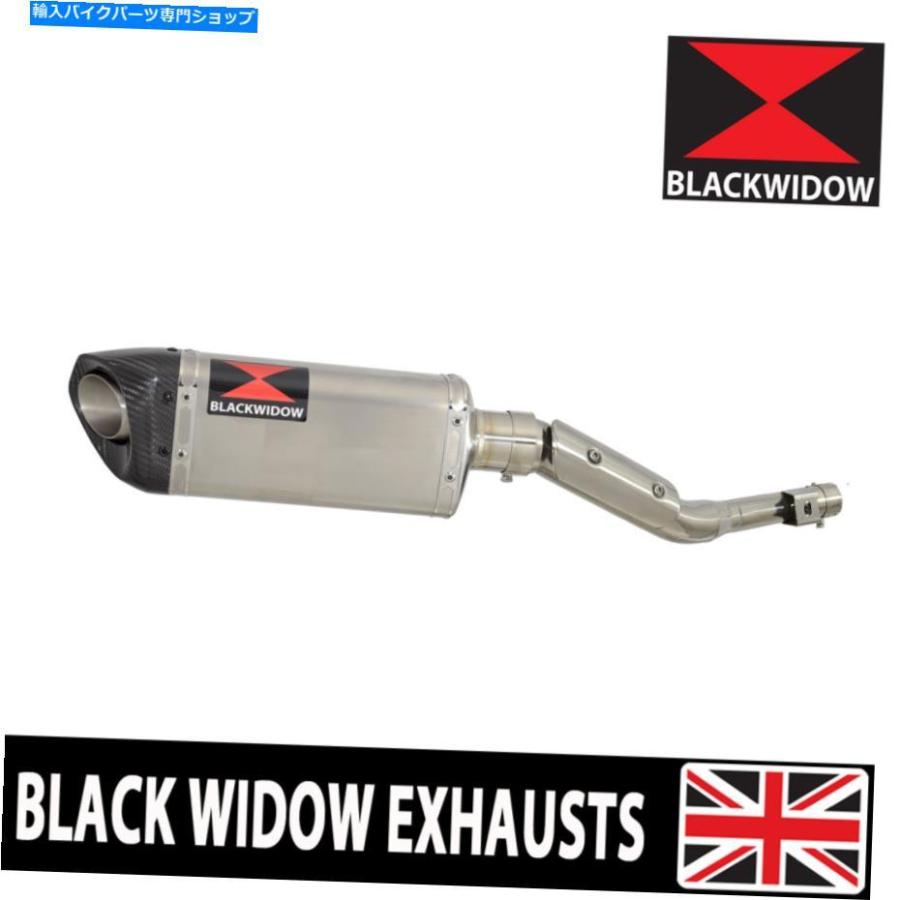 サイレンサー RV 125 RV 200バンバー排気サイレンサーキット300mm Tri Oval Steel +カーボンSC30T RV 125 RV 200 VAN VAN Exhaust Silencer Kit 300mm