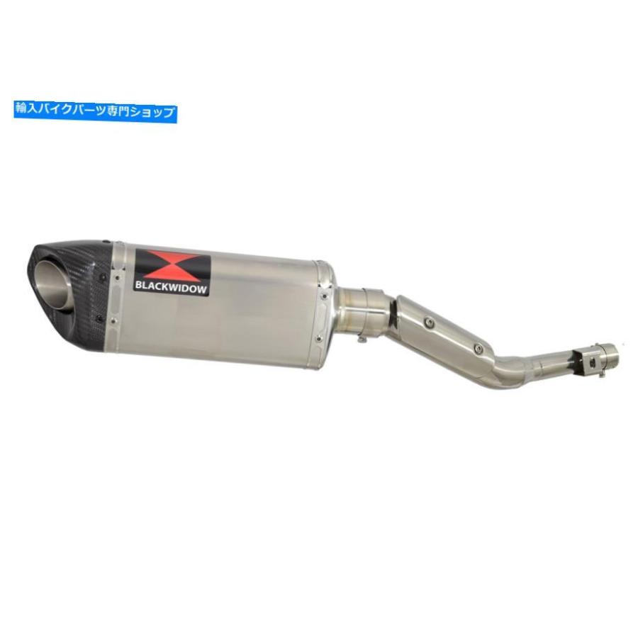 サイレンサー RV 125 RV 200バンバー排気サイレンサーキット300mm Tri Oval Steel +カーボンSC30T RV 125 RV 200 VAN VAN Exhaust Silencer Kit 300mmの画像
