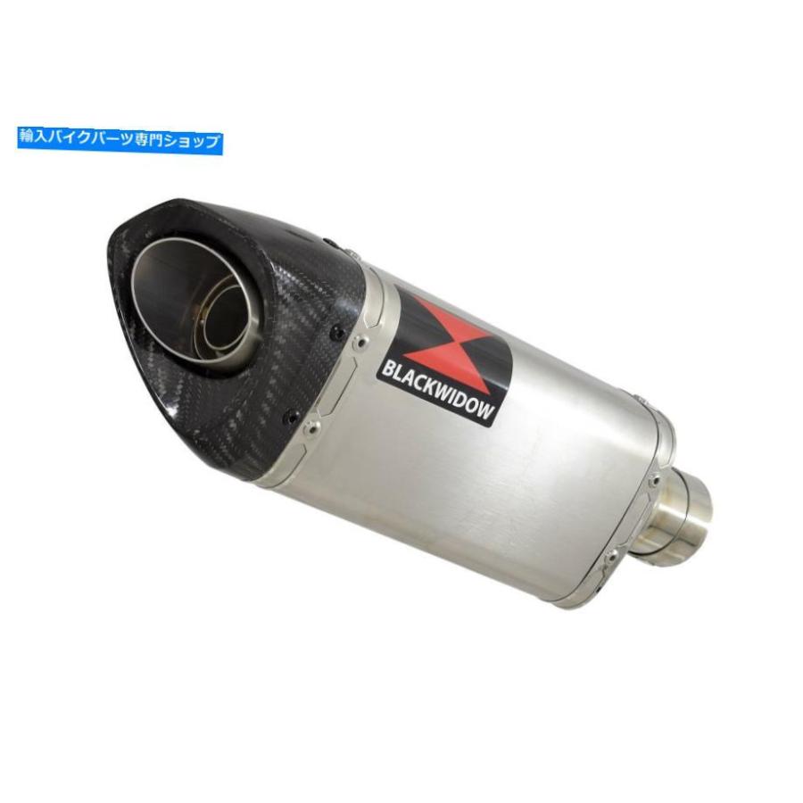 サイレンサー RV 125 RV 200バンバー排気サイレンサーキット300mm Tri Oval Steel +カーボンSC30T RV 125 RV 200 VAN VAN Exhaust Silencer Kit 300mmの画像