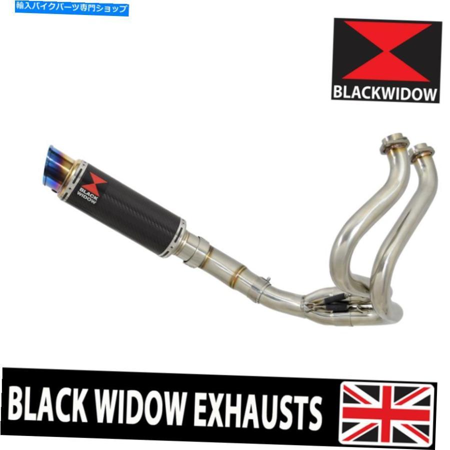 ⁄ ZX-10R | SHOCKS RACING NITRON Kawasaki SE ZX-10RR Exhaust uxcell