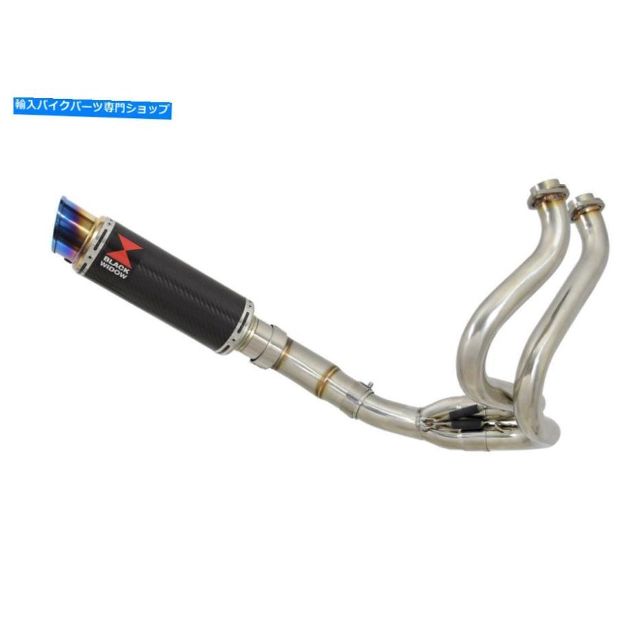 ⁄ ZX-10R | SHOCKS RACING NITRON Kawasaki SE ZX-10RR Exhaust uxcell