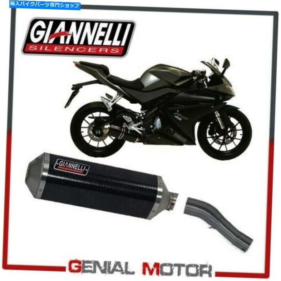 サイレンサー フルエキゾーストシステムGiannelli Carbon + Kat Link Pipe Yamaha YZFR 125 2016 16 Full Exhaust System Giannelli Carbon + Kat Lin