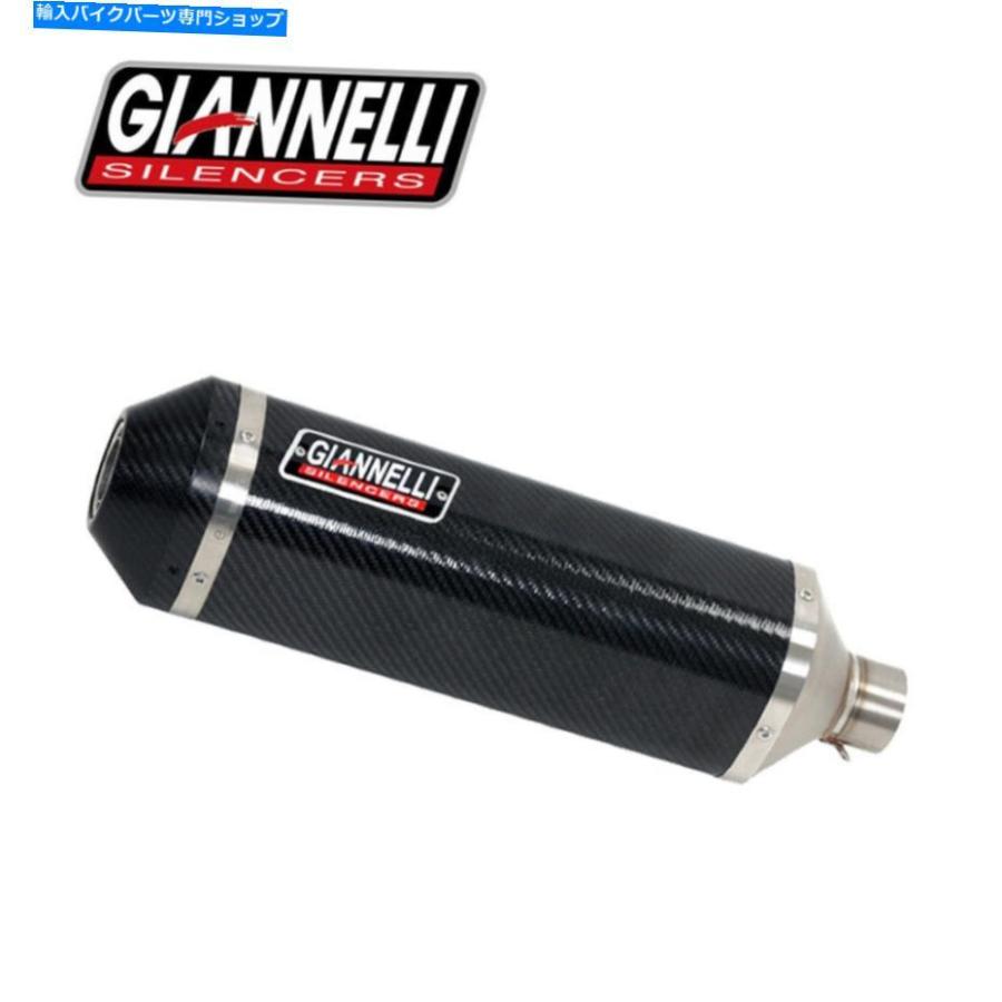 11-15 Ducati Diavel TERMIGNONI Full Exhaust Header Pipe Mufflers