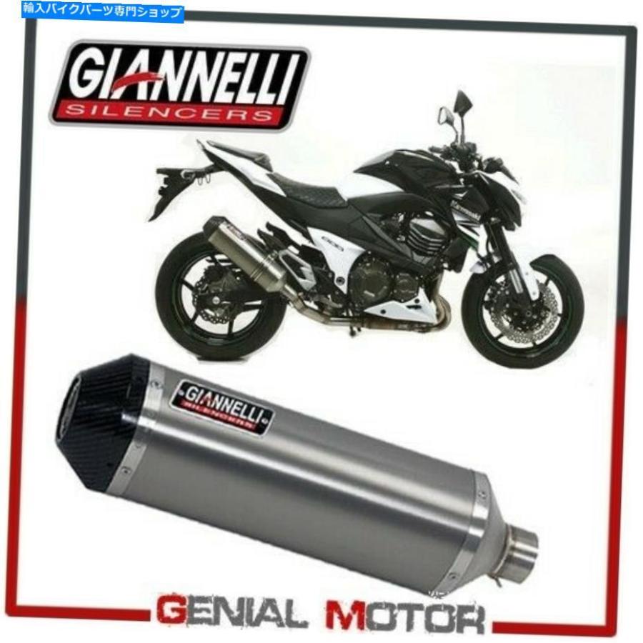 サイレンサー 排気マフラーGiannelliチタニウムipersport川崎Z 800