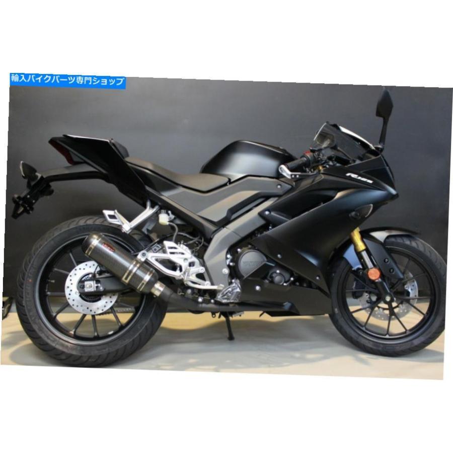 サイレンサー ヤマハYZF-R 125 2019-2020エンディーエキゾーストフルシステム+サイレンサー伝説フルカーボン Yamaha YZF-R 125 2019-2020 Endy Exhaus
