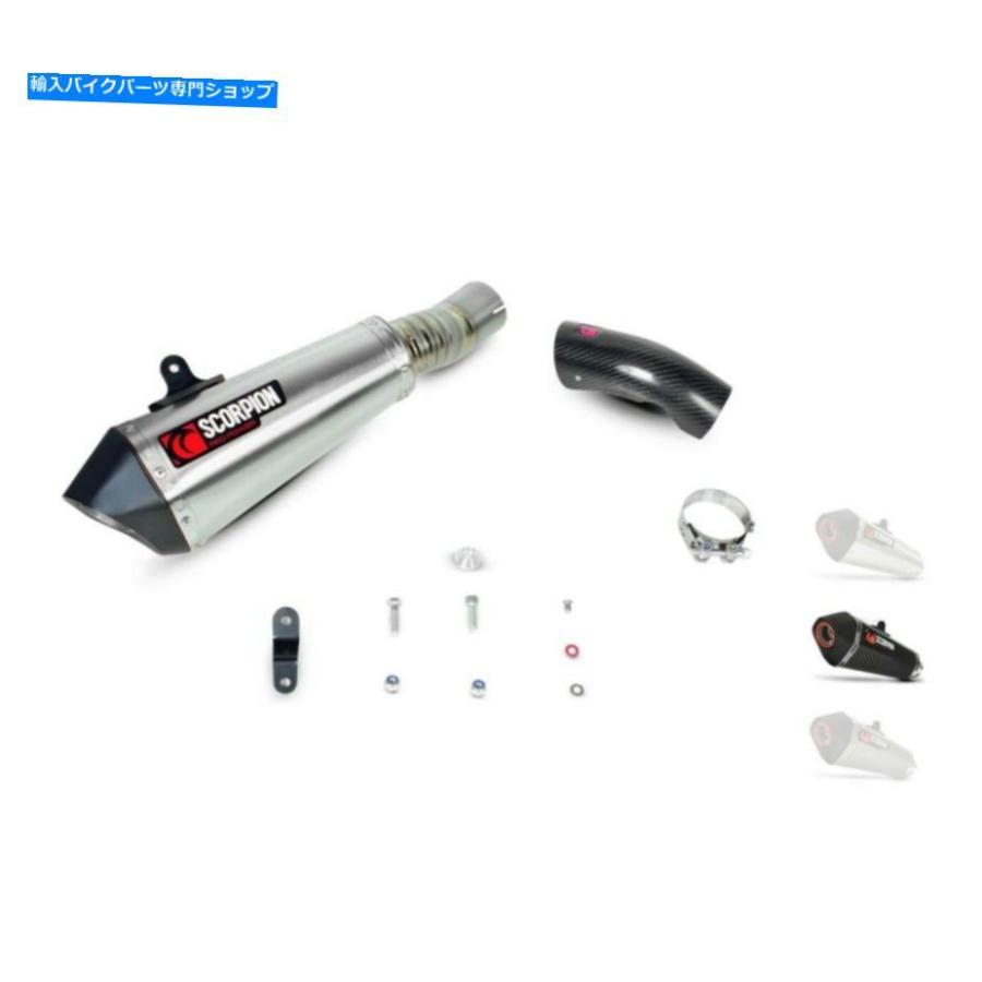 サイレンサー BMW S1000 R-14/19 - サイレントセルケットコニカルカーボンスコーピオン-76021374 BMW S1000 R-14/19 - Silent Serket Conical Carbon