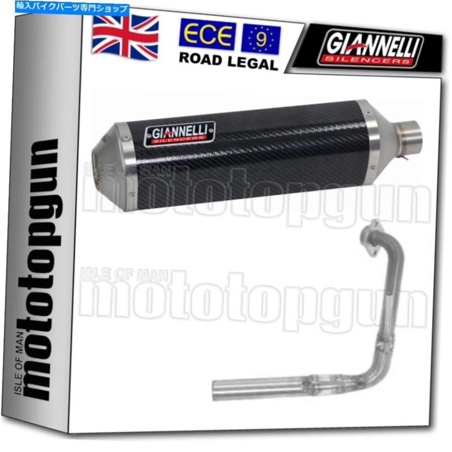 サイレンサー GiannelliフルサイレンサーHomcat iPerSportカーボンヤマハYZF-R 125 2014 14 2015 15 GIANNELLI FULL SILENCER HOMCAT IPERSPORT CARBO