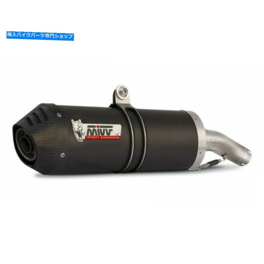 サイレンサー ud.021.l3c - サイレンサー排気MIVV楕円形カーボン/カーボンキャップDUCATI 848/1098/1198 UD.021.L3C - Silencers Exhaust Mivv Oval C