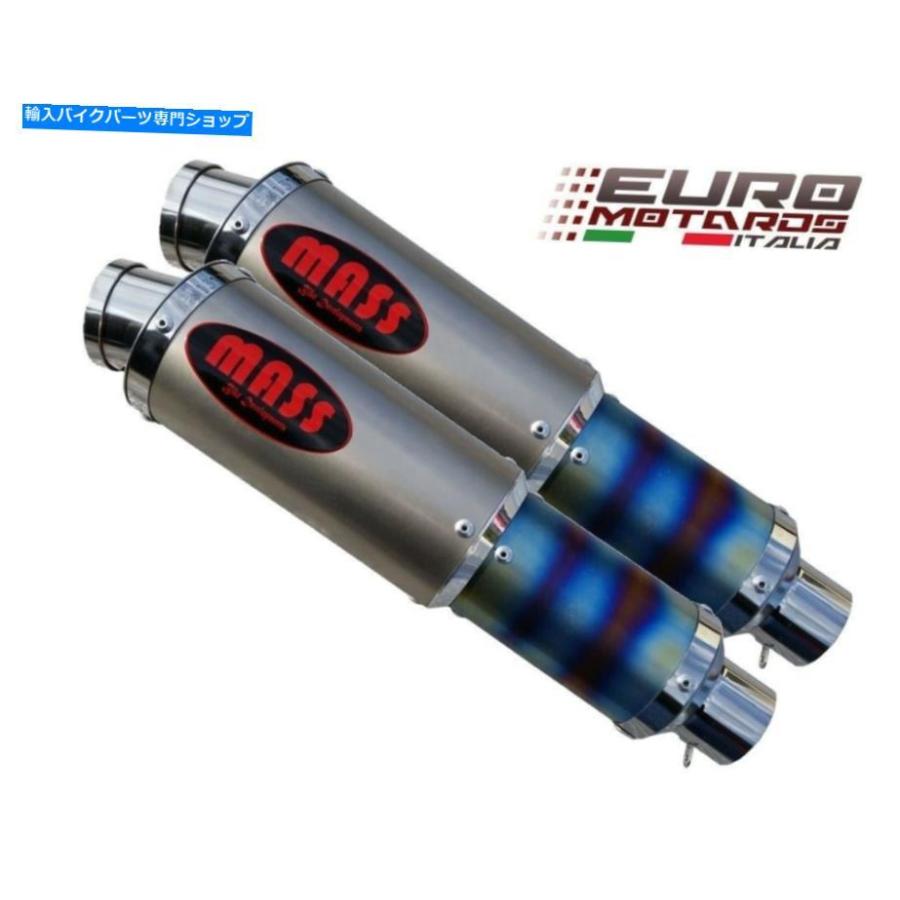 AL997】ユッカ リギダ ブルー個体