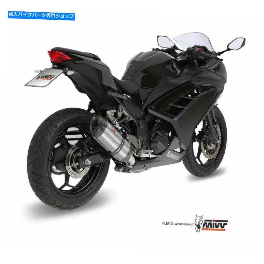 Exhaust Termignoni Kawasaki Ninja 300