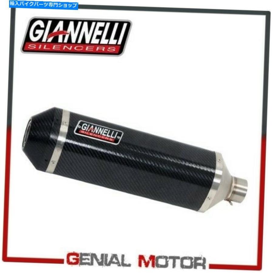 サイレンサー 排気マフラーGiannelliカーボンファイバーiperSport