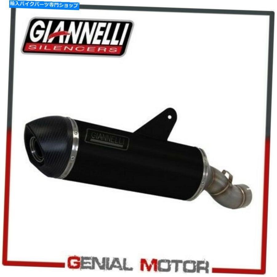 セット売り　専用 サイレンサー BMW R 1200 GS 2018 18のためのGiannelli Black Alum触媒